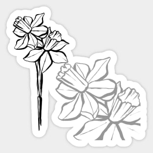 Narcissus line drawing Sticker
